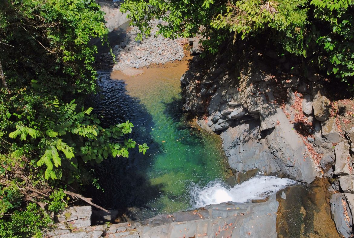 JUNGLE DREAMS FARM: WHERE NATURE MEETS SERENITY – 20 ACRES